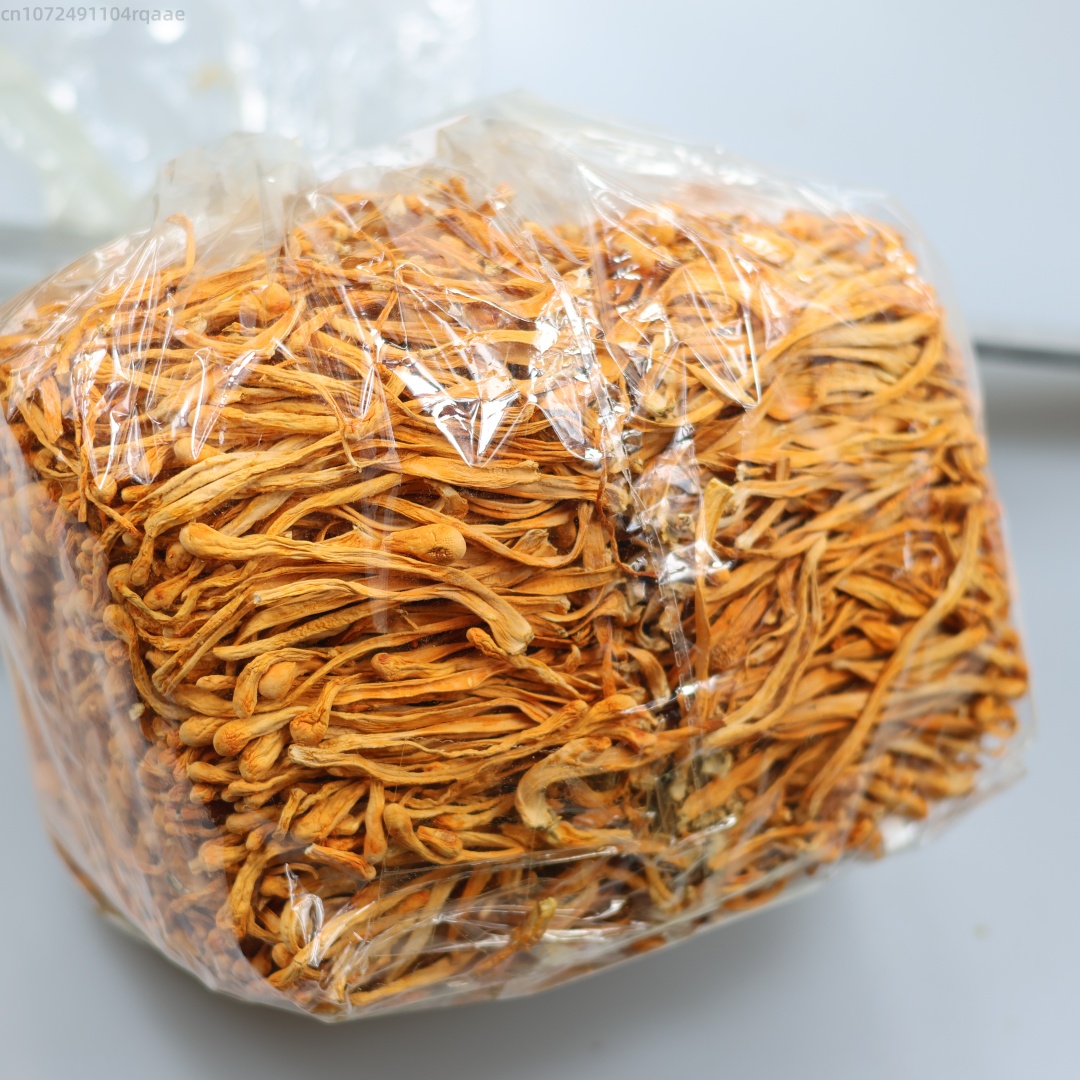 Soap Making Diy Kit - 250g/500g premium natural seco cordyceps flor